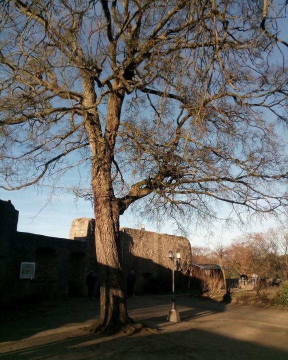 Burgschänke auf Schloss Alsbach